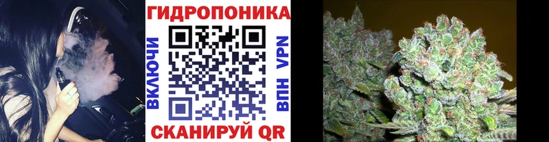 где можно купить   Урюпинск  Бошки марихуана план 